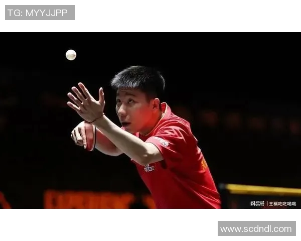 武汉乒乓球队技术实力强劲荣登全国第六名引发关注